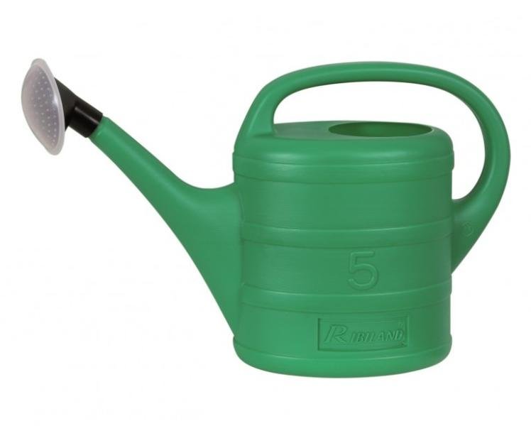 Arrosoir 5 L avec pomme amovible – RIBIMEX